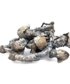 BIOFREEZE Mushrooms