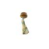mushroom sustainable farming