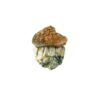 Dido Eggs mushroom