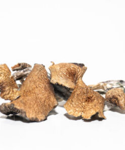 PF-Classic Mushroom