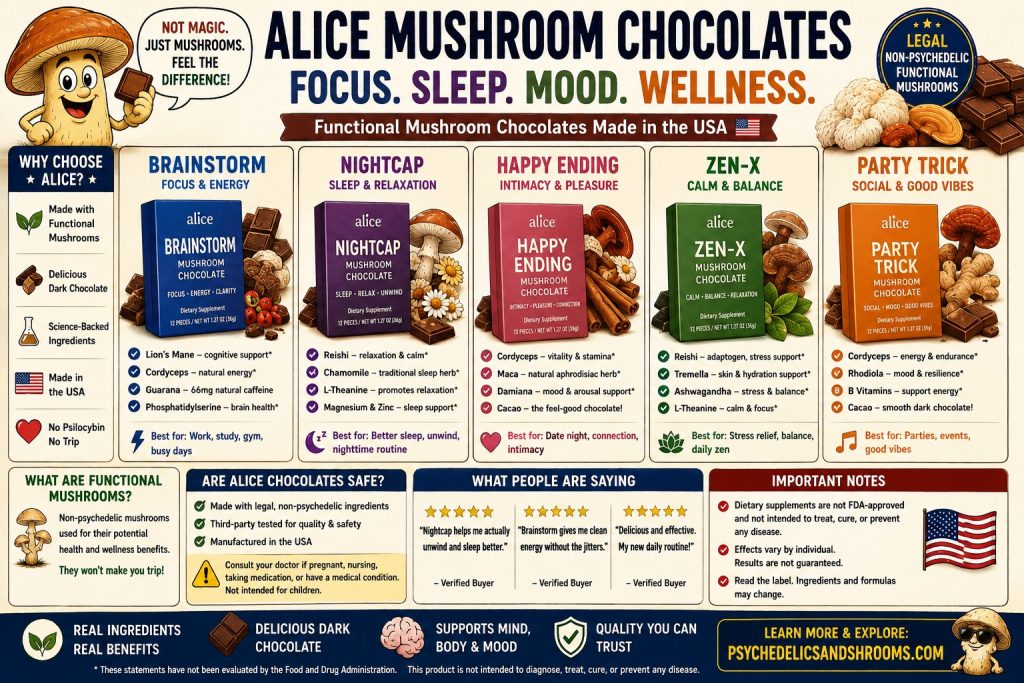 Alice mushroom chocolates